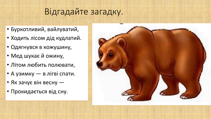 Відгадайте загадку. Буркотливий, вайлуватий,Ходить лісом дід кудлатий. Одягнувся в кожушину,Мед шукає й ожину,Літом любить полювати,А узимку — в лігві спати. Як зачує він весну —Прокидається від сну.