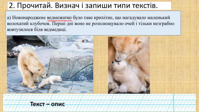 2. Прочитай. Визнач і запиши типи текстів.а) Новонароджене ведмежатко було таке крихітне, що нагадувало маленький волохатий клубочок. Перші дні воно не розплющувало очей і тільки незграбно вовтузилося біля ведмедиці. Текст – опис
