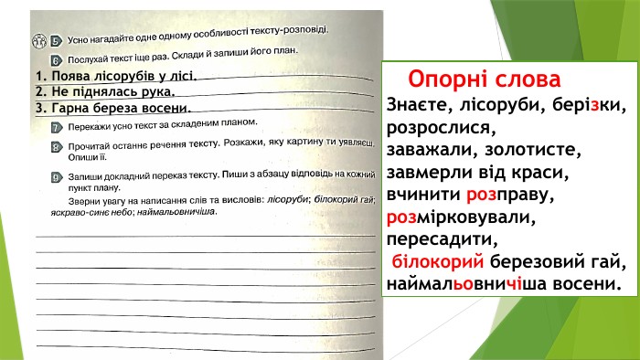 1. Поява лісорубів у лісі.2. Не піднялась рука.3. Гарна береза восени. Опорні слова Знаєте, лісоруби, берізки, розрослися, заважали, золотисте, завмерли від краси, вчинити розправу, розмірковували, пересадити, білокорий березовий гай, най­мальовничіша восени.