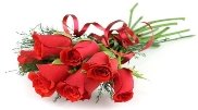 http://images.forwallpaper.com/files/thumbs/preview/12/120800__roses-red-bouquet-flowers-ribbon-white-background_p.jpg