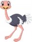 cartoon-baby-ostrich-isolated-on-white-background_29190-5698.jpg