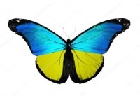 https://st.depositphotos.com/1359043/1712/i/950/depositphotos_17127811-stock-photo-ukraine-flag-butterfly-isolated-on.jpg