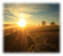 Утро, дорога, лето, солнце, небо, пейзаж, 1920x1234.jpg