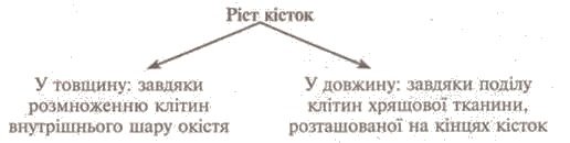 http://subject.com.ua/lesson/biology/9klas/9klas.files/image019.jpg