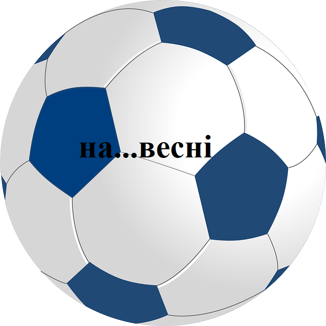 ball-306073_640.png