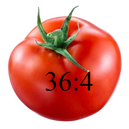 53405179-tomato-isolated-on-white-with-clipping-path — копия — копия.jpg