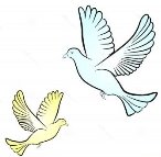 https://thumbs.dreamstime.com/z/vector-dove-illustration-white-background-40763529.jpg