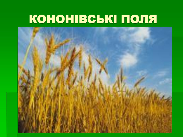КОНОНІВСЬКІ ПОЛЯ 