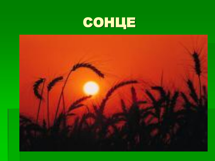 СОНЦЕ 