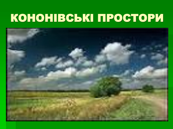 КОНОНІВСЬКІ ПРОСТОРИ 