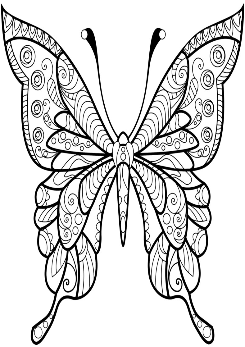 C:\Users\Администратор\Desktop\zentangle-butterfly-2-coloring-page.png