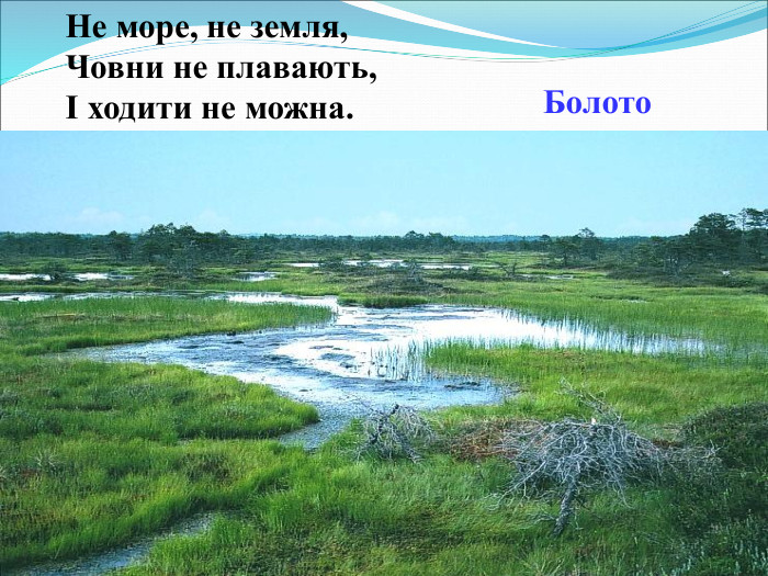 Не море, не земля, Човни не плавають, І ходити не можна. Болото  
