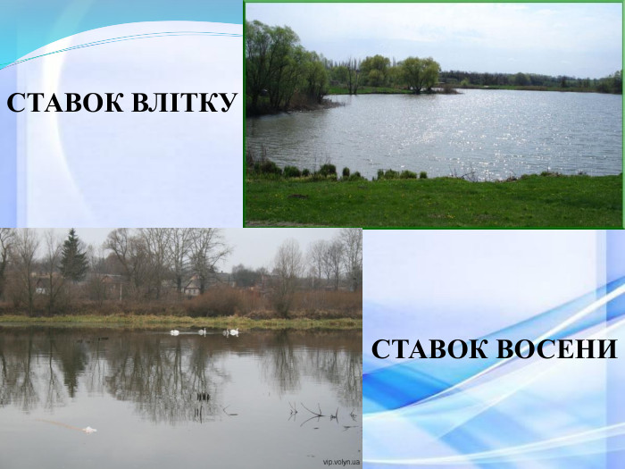СТАВОК ВЛІТКУ СТАВОК ВОСЕНИ 