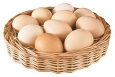 Визначаємо свіжість курячих яєць - «Волинь» — незалежна  громадсько–політична газета