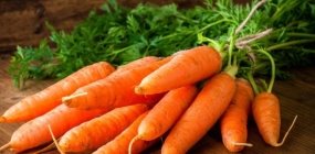 Вирощування великої та солодкої моркви на своєму городі