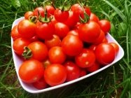 Цілющі помідори - Здоров'я та спорт - TCH.ua