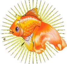 Картинки по запросу чарівна рибка