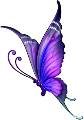 C:\Users\Користувач\Pictures\1477992526_butterflies-2-09.png