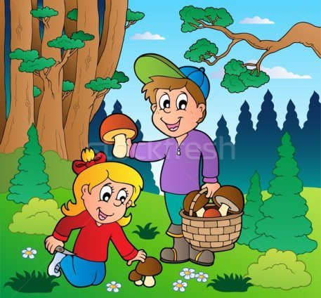 C:\Users\user\Desktop\гриби\1080968_stock-photo-forest-with-kids-mushrooming.jpg