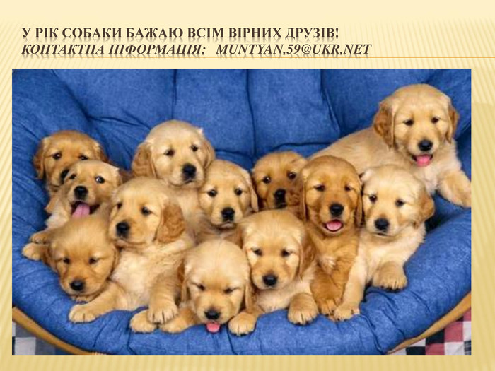 У рік СОБАКИ бажаю всім вірних друзів! Контактна інформація: muntyan.59@ukr.net
