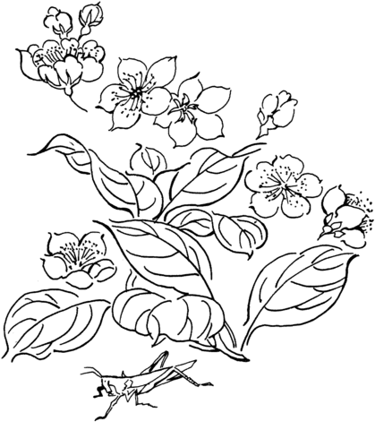 grasshopper-on-flower-coloring-page.gif