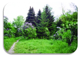 http://www.univer.kharkov.ua/img/research/scientific_institutions/botanical_garden/bot_sad_2.jpg