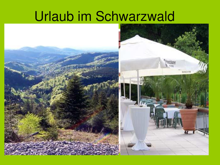  Urlaub im Schwarzwald 