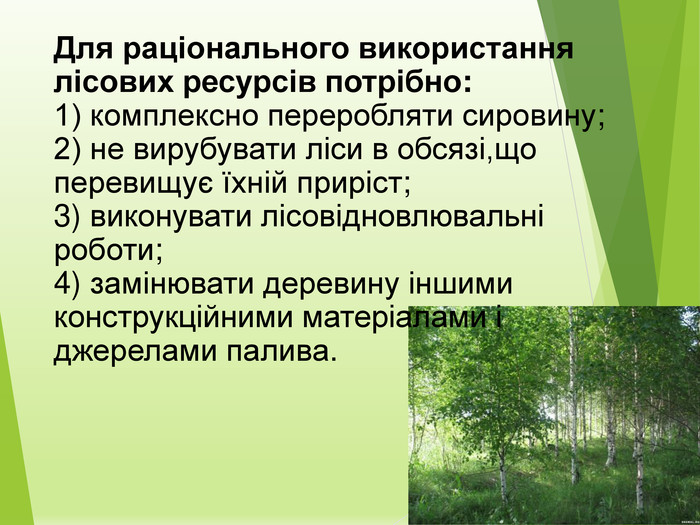 Реферат: Лісові ресурси України, проблеми раціонального використання