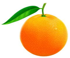 Orange_PNG_Vector_Clipart_Image.png