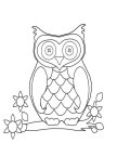 cartoon-owl-coloring-page