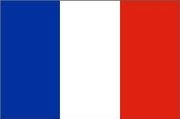 Результат пошуку зображень за запитом флаг франциишаблон
