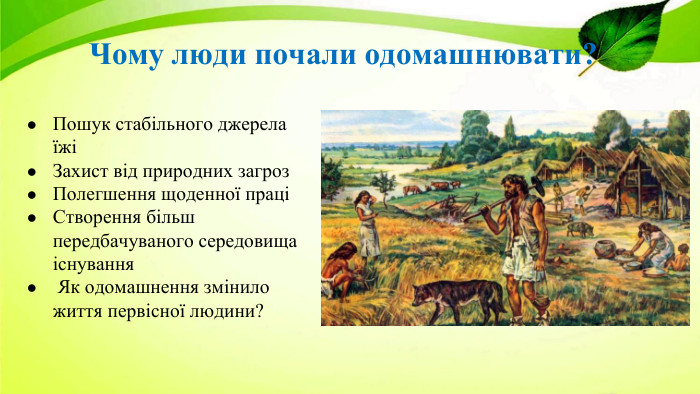 Чому люди почали одомашнювати?Пошук стабільного джерела їжіЗахист від природних загроз. Полегшення щоденної праціСтворення більш передбачуваного середовища існування Як одомашнення змінило життя первісної людини?