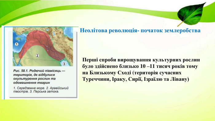 Неолітова революція- початок землеробства Перші спроби вирощування культурних рослин було здійснено близько 10 –11 тисяч років тому на Близькому Сході (територія сучасних Туреччини, Іраку, Сирії, Ізраїлю та Лівану)