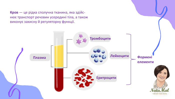 Nata. Malтвій світ твоє життя ֍ ֍ ֍ Кров — це рідка сполучна тканина, яка здійс-нює транспорт речовин усередині тіла, а такожвиконує захисну й регуляторну функції. Плазма. Тромбоцити. Лейкоцити. Еритроцити. Форменіелементи