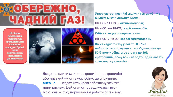 Nata. Malтвій світ твоє життя ֍ ֍ ֍ Утворюються нестійкі сполуки гемоглобіну з киснем та вуглекислим газом: Hb + О2 ↔ Hb. O2 оксигемоглобін; Hb + CО2 ↔ Hb. CO2 карбгемоглобін. Стійка сполука з чадним газом: Hb + CО → Hb. CO карбоксигемоглобін. Вміст чадного газу у повітрі 0,5 % є небезпечним, тому що з ним з’єднюється до 50% гемоглобіну, а це втрата до 50% еретроцитів , тому вони не здатні здійснювати транспортну функцію. Якщо в людини мало еритроцитів (еритропенія)або низький уміст гемоглобіну, це спричиняєанемію — нездатність крові забезпечувати тка-нини киснем. Цей стан супроводжується вто-мою, слабкістю, порушенням роботи організму.