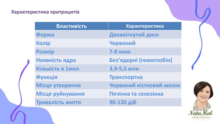 Nata. Malтвій світ твоє життя ֍ ֍ ֍ Характеристика еритроцитів{5 C22544 A-7 EE6-4342-B048-85 BDC9 FD1 C3 A}Властивість. Характеристика. Форма. Двоввігнутий диск. Колір. Червоний. Розмір7-8 мкм. Наявність ядра. Без’ядерні (гемоглобін)Кількість в 1мкл3,9-5,5 млн. Функція. Транспортна. Місце утворення. Червоний кістковий мозок. Місце руйнування. Печінка та селезінка. Тривалість життя 90-120 діб