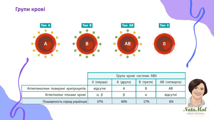 Nata. Malтвій світ твоє життя ֍ ֍ ֍ Групи крові{5 C22544 A-7 EE6-4342-B048-85 BDC9 FD1 C3 A}Поширеність серед українців37%40%17%6%