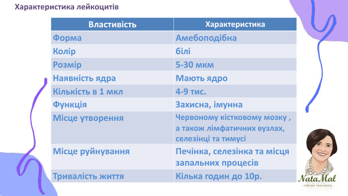 Nata. Malтвій світ твоє життя ֍ ֍ ֍ Характеристика лейкоцитів{5 C22544 A-7 EE6-4342-B048-85 BDC9 FD1 C3 A}Властивість. Характеристика. Форма. Амебоподібна. КолірбіліРозмір5-30 мкм. Наявність ядра. Мають ядро. Кількість в 1 мкл4-9 тис. Функція. Захисна, імунна. Місце утворення. Червоному кістковому мозку , а також лімфатичних вузлах, селезінці та тимусіМісце руйнування. Печінка, селезінка та місця запальних процесів. Тривалість життя Кілька годин до 10р.