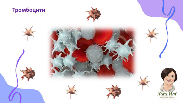 Nata. Malтвій світ твоє життя ֍ ֍ ֍ Тромбоцити