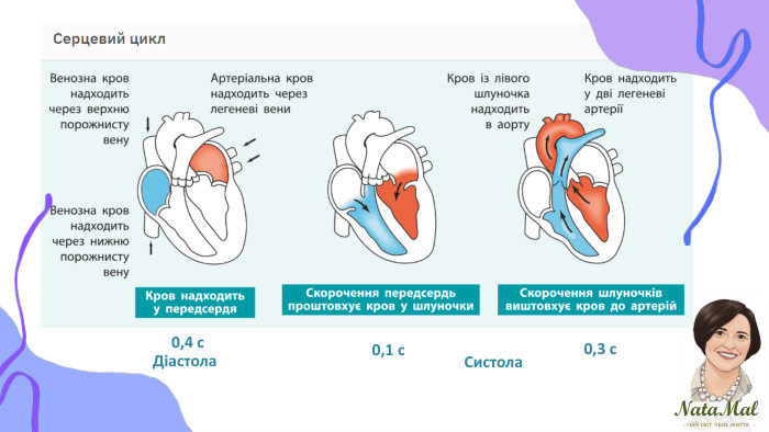 Nata. Malтвій світ твоє життя ֍ ֍ ֍ 0,1 с0,3 с0,4 с. Діастола. Систола