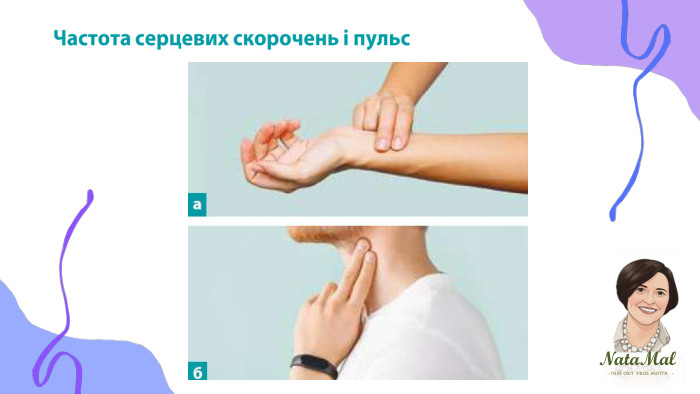 Nata. Malтвій світ твоє життя ֍ ֍ ֍ Частота серцевих скорочень і пульс