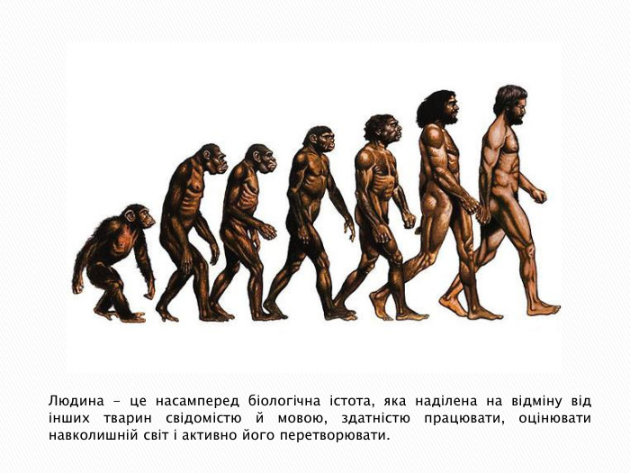 Людина - це насамперед біологічна істота, яка наділена на відміну від інших тварин свідомістю й мовою, здатністю працювати, оцінювати навколишній світ і активно його перетворювати. 