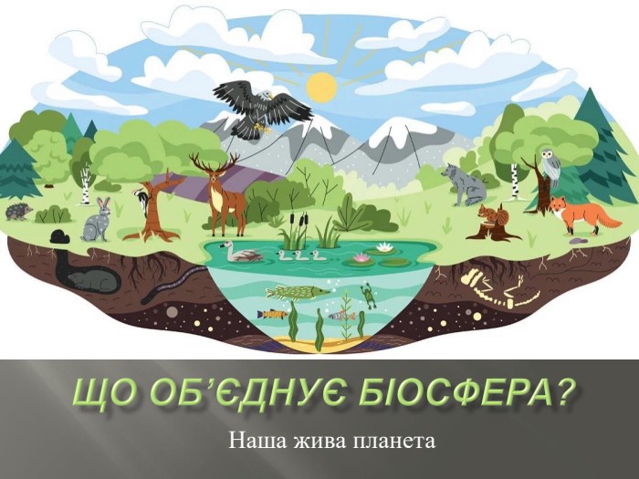 ЩО ОБ’ЄДНУЄ БІОСФЕРА?Наша жива планета