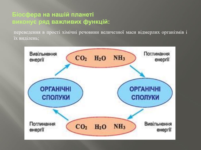 Біосфера на нашій планеті виконує ряд важливих функцій:переведення в прості хімічні речовини величезної маси відмерлих організмів і їх виділень;