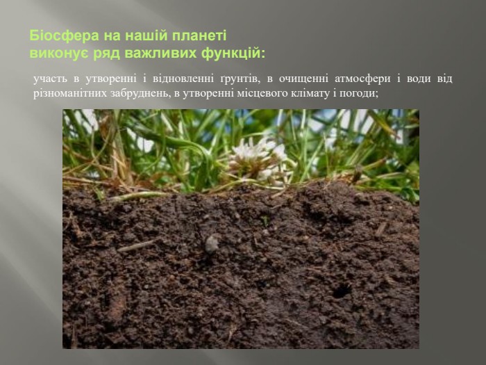 Біосфера на нашій планеті виконує ряд важливих функцій:участь в утворенні і відновленні ґрунтів, в очищенні атмос­фери і води від різноманітних забруднень, в утворенні місцевого клімату і погоди;