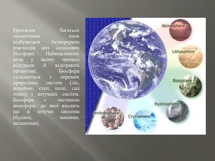 Протягом багатьох геологічних епох відбувалася безперервна взаємодія цих складових біосфери. Найважливішу роль у цьому процесі відіграли й відіграють організми. Біосфера складається з окремих природних систем (ліс, водойми, степ, поле, сад тощо) і штучних систем. Біосфера є частиною ноосфери, до якої входять ще й штучні системи (будівлі, машини, механізми).