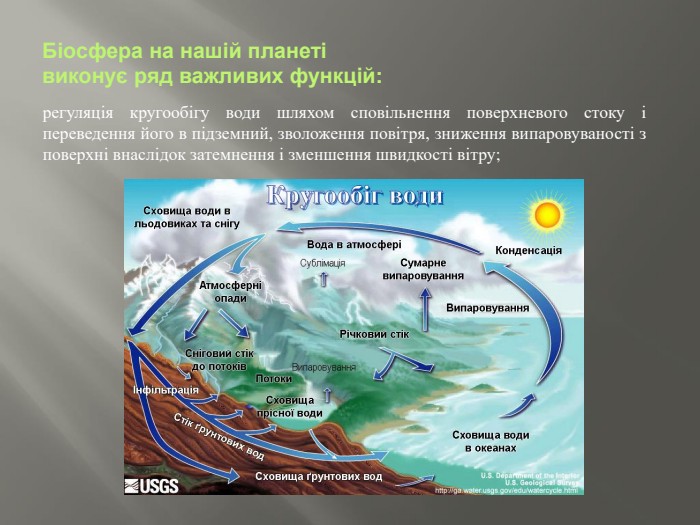 Біосфера на нашій планеті виконує ряд важливих функцій:регуляція кругообігу води шляхом сповільнення поверх­невого стоку і переведення його в підземний, зволоження по­вітря, зниження випаровуваності з поверхні внаслідок затемнен­ня і зменшення швидкості вітру;