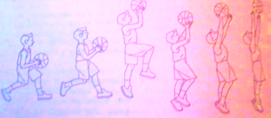 C:\Users\Лена\Desktop\баскетбол урок\IMG_6514.JPG