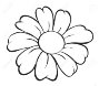 15864344-illustration-of-flower-sketch-on-white-background.jpg