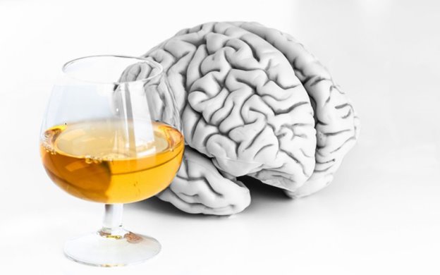 Вплив алкоголю на нервову систему